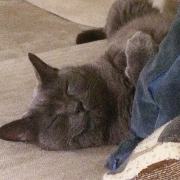 Meet your Posher, Tina - Picture 2 of 3